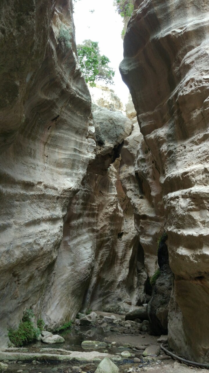 Penisola di Akamas